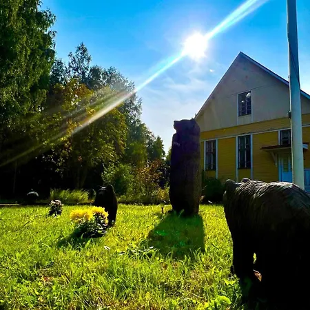 Kyyronkaita Mikkeli